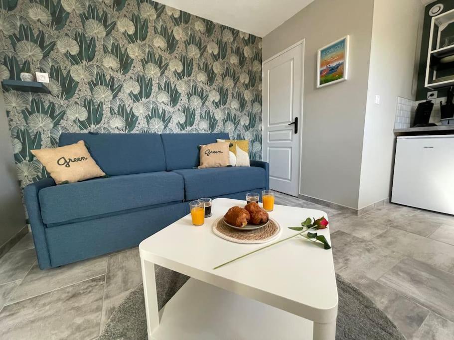 Apartment Nid Catalan Climatise Jardin Centre-ville Perpignan
